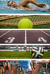 sport, sporty, swimming, tennis, football, bike, cycling, leg, sports, sport, sport, sport, sporty, tennis, tennis, tennis, sports, sports, sports, sports, sports
